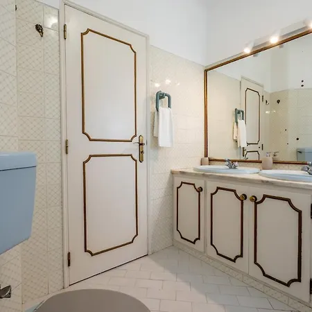 Bougainvilea