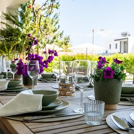 Bougainvilea Albufeira