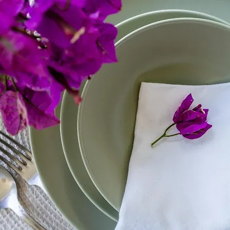 Villa Bougainvilea Albufeira